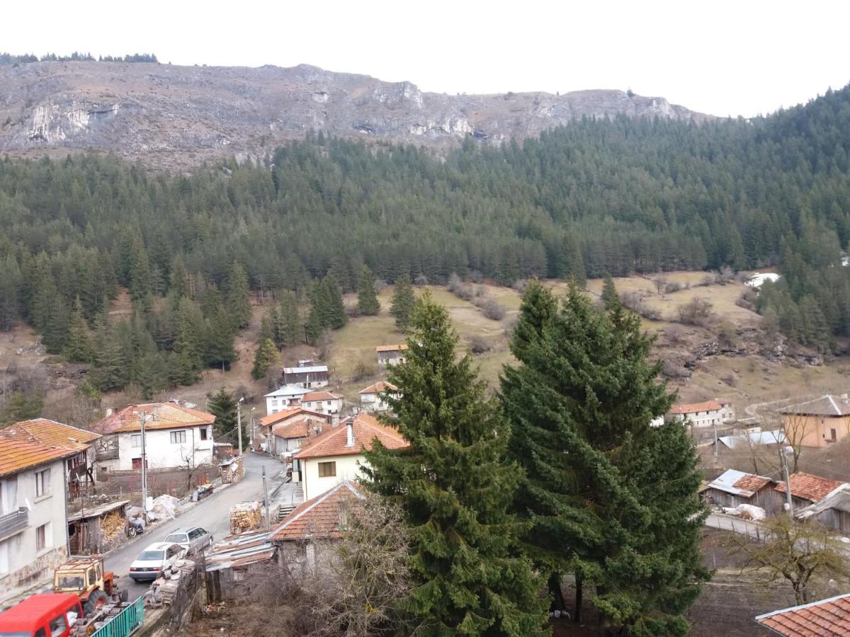 Къща за гости Камината Триград Экстерьер фото
